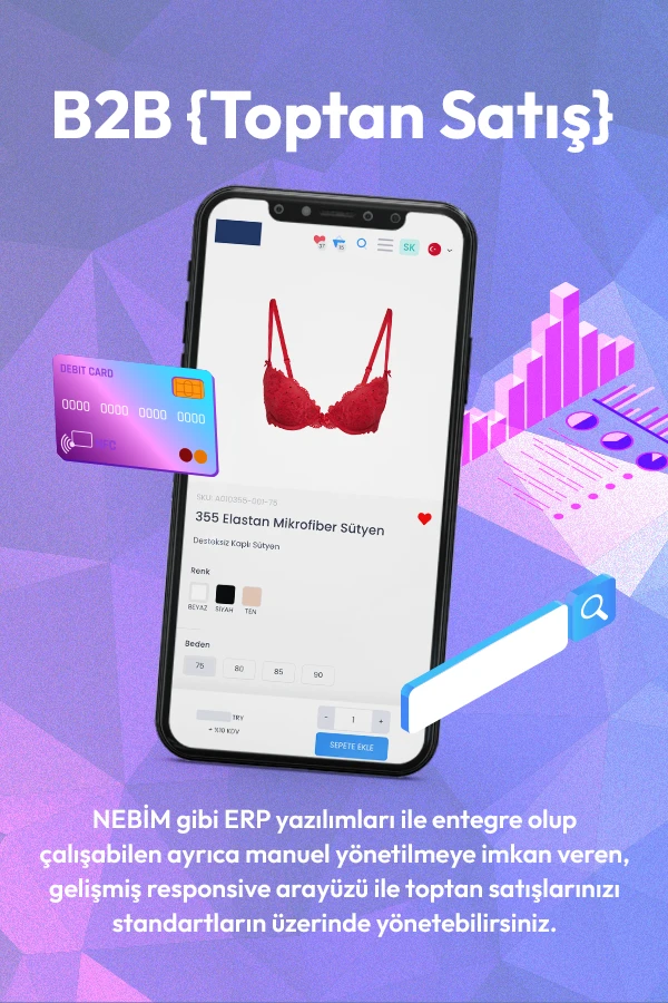 Devartist B2B Proje Görseli