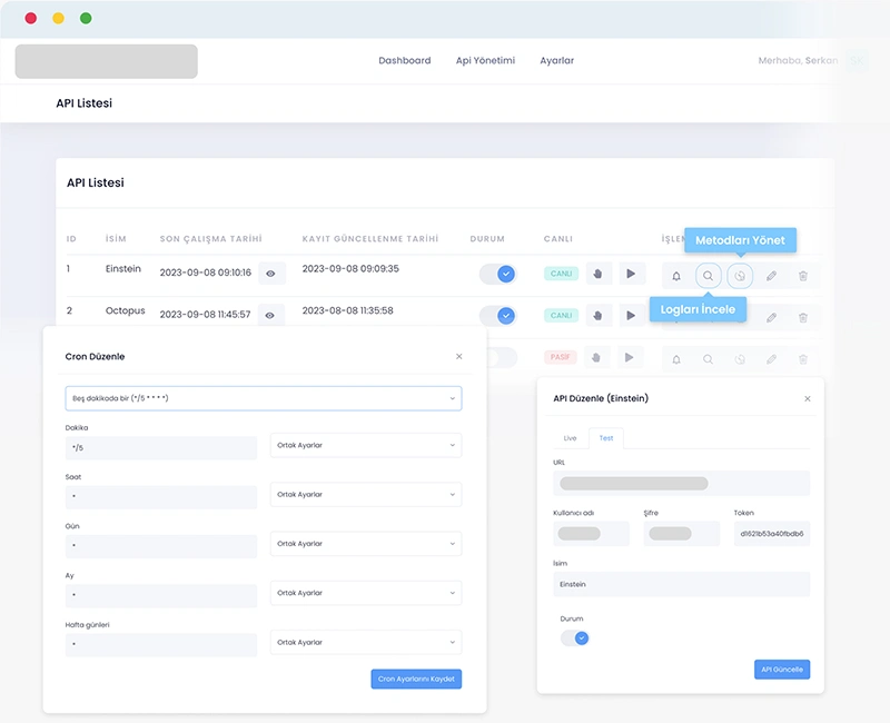 Devartist | Api Yönetimi Api Detay ve Log Kontrol Sayfaları