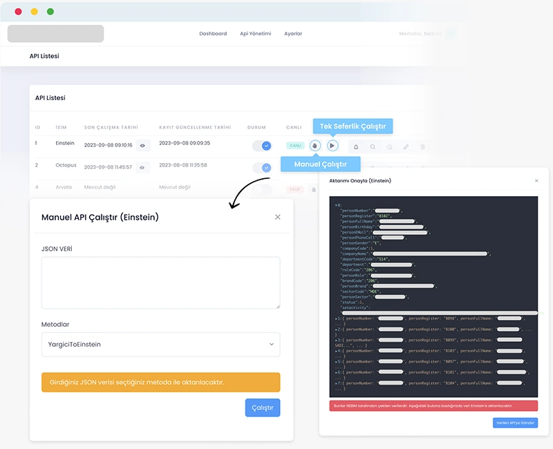 Devartist | Api Yönetimi Api Detay ve Cron Düzenleme